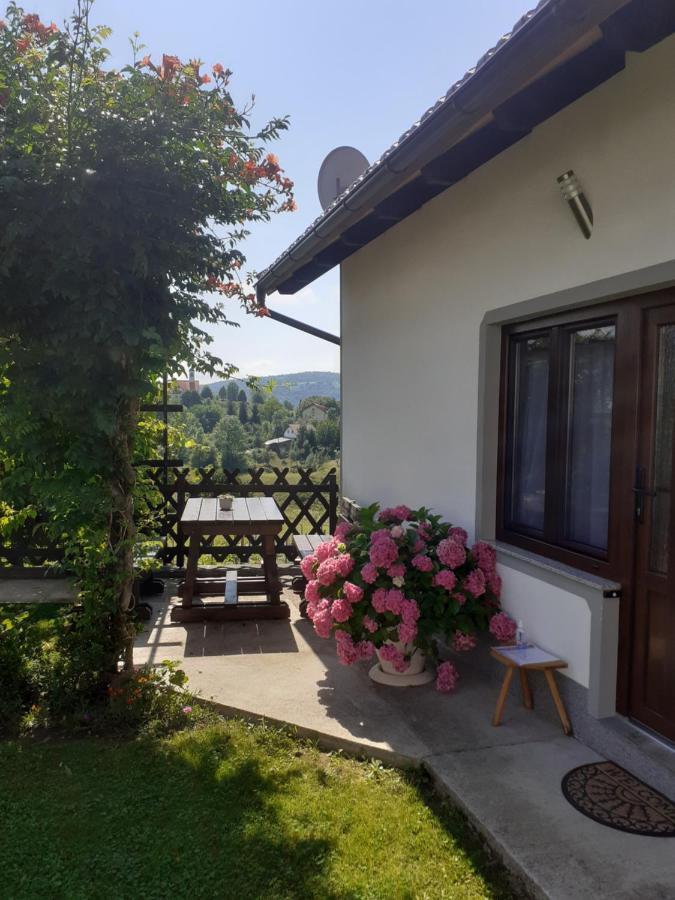 Apartment Petra I Nikola Селище Дрезницко Екстериор снимка