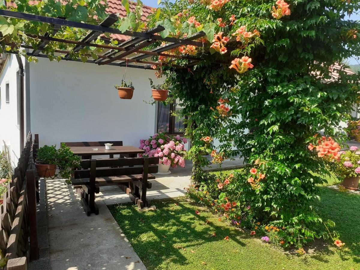 Apartment Petra I Nikola Селище Дрезницко Екстериор снимка