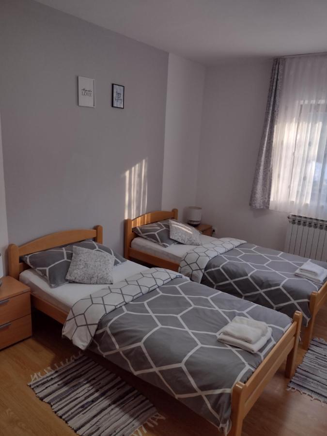 Apartment Petra I Nikola Селище Дрезницко Екстериор снимка