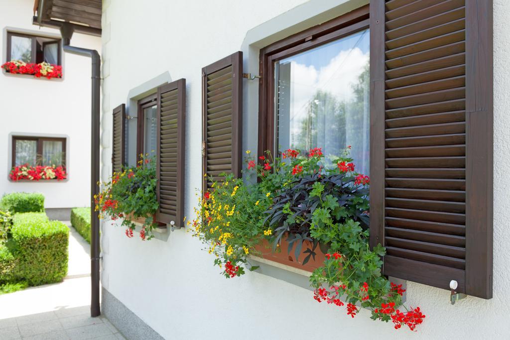 Apartment Petra I Nikola Селище Дрезницко Екстериор снимка