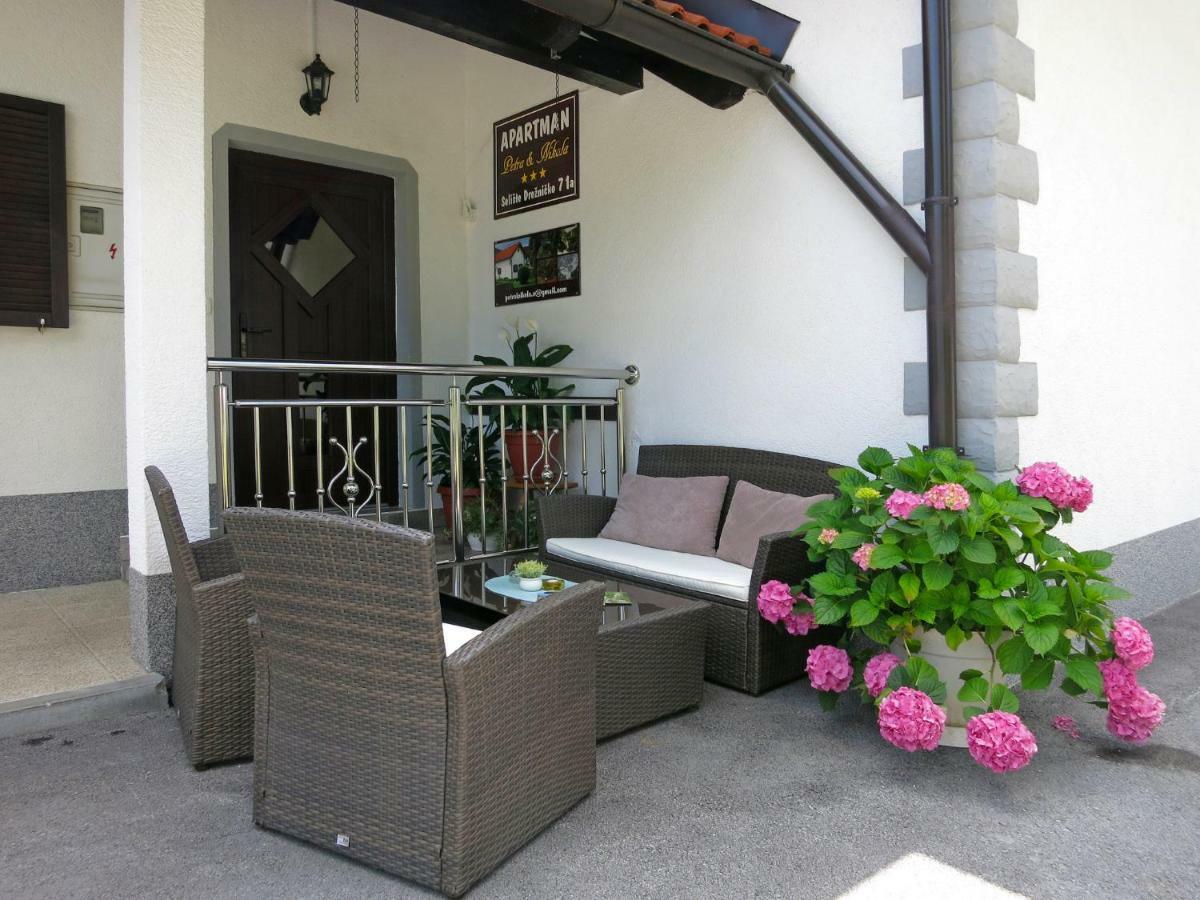 Apartment Petra I Nikola Селище Дрезницко Екстериор снимка